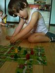 1379416 My First Carcassonne (Edizione Scandinava)