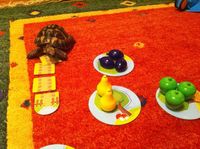 2331806 Mes Premiers Jeux - Premier Verger