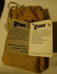 3852027 Grass