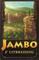 651195 Jambo - Expansion 2