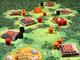 106332 Tikal (Edizione Francese)