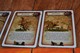 3166124 Chaos Marauders (EDIZIONE FRANCESE)