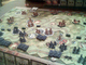 1014251 Memoir '44 - Sword of Stalingrad