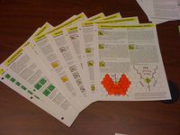 640848 Blood and Jungle