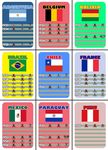 700182 The World Cup Card Game 2010