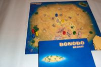 5386713 Bonobo Beach