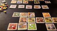 1257952 The Rivals for Catan