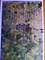 1575346 Operation Dauntless: The Battles for Fontenay and Rauray, France, June 1944