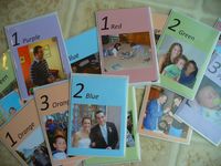 881502 Hanabi & Ikebana