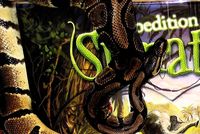 799351 Expedition Sumatra