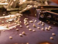 910364 Le Battaglie di Westeros: Guardiani del Nord