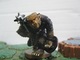 823104 Heroscape: D&D3 Moltenclaw's Invasion - Bugbears and Orcs