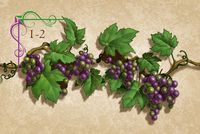 804253 King's Vineyard