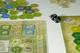 1078507 The Castles of Burgundy