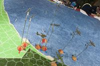 3572888 Whistling Death