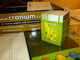 125074 Cranium (Prima Edizione)