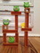 1519939 Angry Birds: Bird Toss