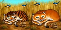 1751796 Tiger Stripes