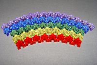 1071490 Carcassonne: Das Gefolge