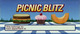 1003008 Picnic Blitz