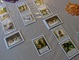1317822 Omen: A Reign of War - Kickstarter Omega Edition