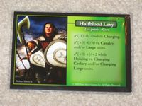 555769 Battleground Fantasy Warfare: Dark Elves