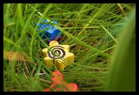 1072682 La Course Des Tortues