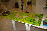 1164685 La Course Des Tortues