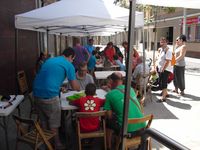 1382610 La Course Des Tortues