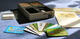 1364956 Dominant Species: The Card Game
