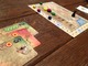 1491690 Dominant Species: The Card Game