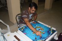 1308021 Survive!: 5-6 Player Mini-Expansion