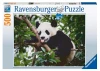 il-panda-puzzle-500-pz-thumbhome.webp